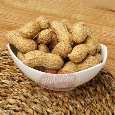 Kabuklu fıstık tuzsuz 500gr