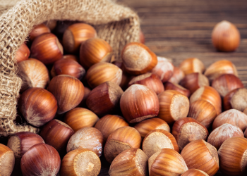 Günlük Fındık Tüketmenin Vücuda Faydaları